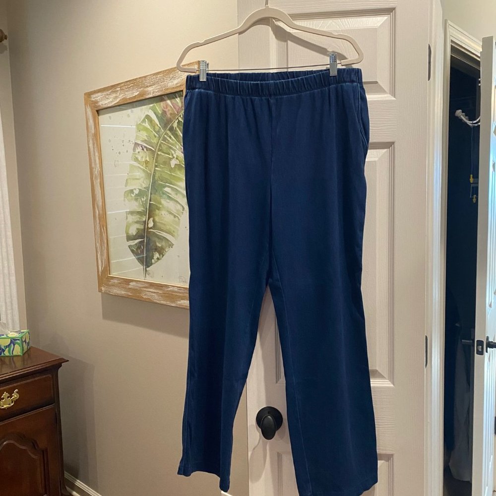 Jeans High Rise Pull On Size Petite Large
